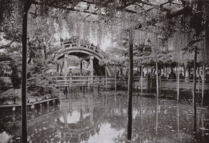 Kameido von Herbert Ponting