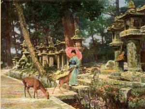 Nara, das Herz des alten Japan