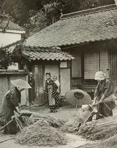 Bäuerinnen beim Gerstenschneiden, 1910