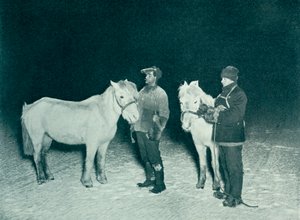 Unteroffiziere Crean und Evans trainieren ihre Ponys im Winter, 1911
