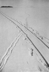Schlittenbahn kreuzt die Spur eines Adéliepinguins, 8. Dezember 1911 von Herbert Ponting