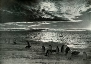 Die Mitternachtssonne im McMurdo-Sund, um 1910-1913, 1913 von Herbert Ponting