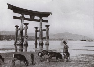 Das alte Torii in Miyajima von Herbert Ponting