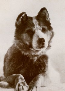 Vaida, ca. 1910-1913, 1913