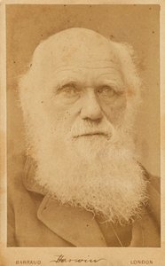 Porträt von Charles Darwin 1809-1882