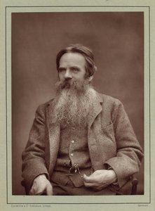 Porträt des Malers William Holman Hunt 1827-1910, ca. 1885 von Herbert Rose Barraud