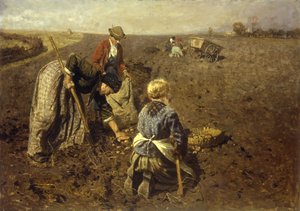 Die Kartoffelernte