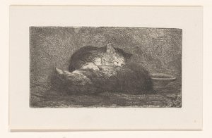 Zwei Katzen