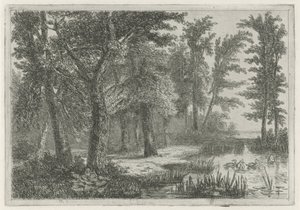 Waldlandschaft mit einem Teich und Enten von Hermanus Jan Hendrik van Rijkelijkhuysen