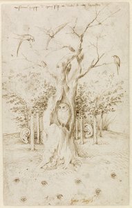 Der Wald hat Ohren, das Feld hat Augen von Bosch, Hieronymus (ca. 1450-1516). Feder, braune indische Tinte auf Papier, Größe: 20,2x12,7, ca. 1500-1515, Staatliche Museen, Berlin von Hieronymus Bosch