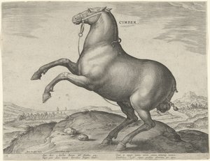 Pferd aus Skythien von Hieronymus Wierix