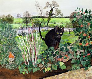 Winterkatze von Hilary Jones