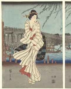 Berühmte Orte in der östlichen Hauptstadt: Genießen einer Abendbrise bei der Ryogoku-Brücke