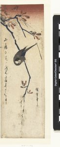 Vogel und Wisteria von Hiroshige (I) , Utagawa