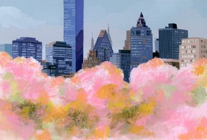 New York und Kirschblüten, 2016
