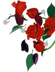 Rote Rose