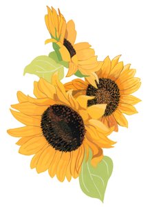 Sonnenblume von Hiroyuki Izutsu