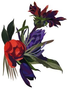 Tulpen und Dahlien