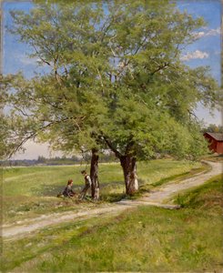 Bruchweiden von Hjalmar Munsterhjelm