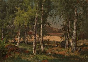  von Hjalmar Munsterhjelm