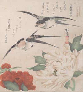 Sammlung Frühlingsregen Harusame shu, Bd. 3: Schwalben und Pfingstrosen, ca. 1820 von Hokuba