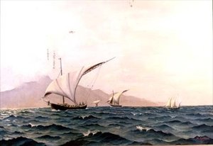 Portugiesische Fischerboote von Holger Lubbers