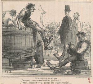 Eindrücke der Weinlese