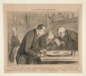 Gelehrte in höchster Freude beim Betrachten des ersten kleinen Krokodils von Honoré Daumier
