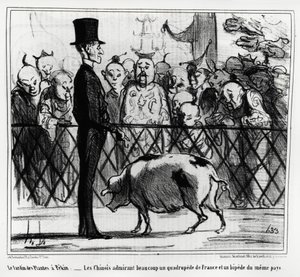 Der Garten der Pflanzen in Peking: die Chinesen bewundern ein vierfüßiges Tier aus Frankreich und ein Piepsen aus demselben Land. Illustration von Honoré Daumier (1808-1879), veröffentlicht in Charivari, China Actualités von Honoré Daumier