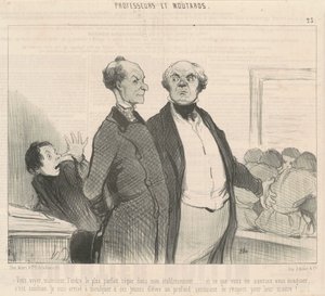 Sie sehen ... die vollkommenste Ordnung herrscht ... von Honoré Daumier