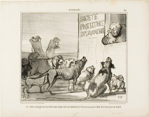 Die Hunde fallen wieder in Verzweiflung, nachdem sie gehört haben, dass es doch eine neue Hundesteuer geben wird, Platte 171 aus Actualités von Honoré Victorin Daumier