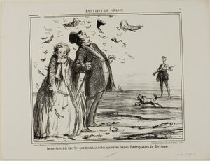 Der Nachteil, auf junge Rebhühner mit den neuen Explosivgeschossen von Devisme zu schießen, Tafel 17 aus Émotions De Chasse von Honoré Victorin Daumier