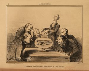 Die Fischzucht Nr. 1: Untersuchung der inzestuösen Frucht eines Karpfens und eines Gelehrten. von Honoré Daumier