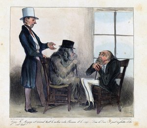 Karikatur über die Ähnlichkeiten zwischen einem Orang-Utan und einem Menschen - Zeichnung von Honoré Daumier (1808 - 1879) aus "Charivari" von Honore Daumier