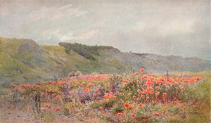Das Tal der Mohnblumen, um 1879-1903, 1903
