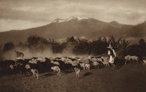 Mexiko: Die Umgebung von Amecameca