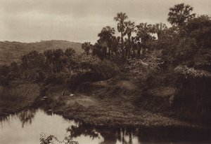 Mexiko: Tamasopo, Palmenlandschaft