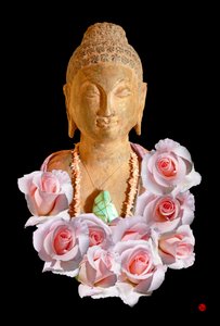 Buddha von Hugo Nefe