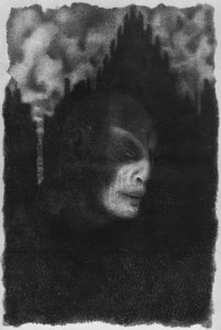 G. Meyrink, Der Golem / Ill. v. Steiner-Pr.