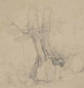 Baum und Felsen von Ida Weisselberg Hadra