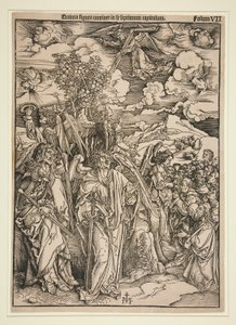 Kopie nach Dürer