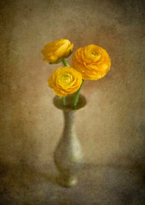 Goldene Ranunkelvase