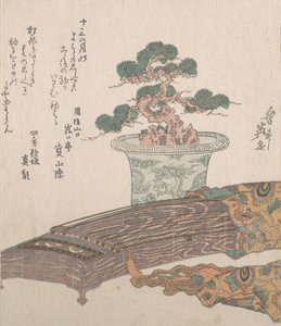 Topfkiefer und Koto Japanische Harfe, 19. Jahrhundert von Ikeda Eisen