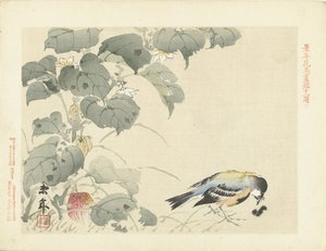 Vogel bei Raupe (Serientitel: Blumen- und Vogelskizzen von Keinen)