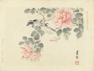 Schwarz-weißes Vögelchen zwischen rosa Rosen