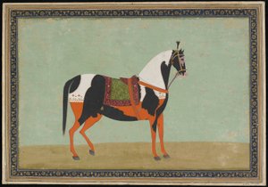 Ein Pferd von Indian School