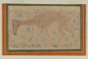 Ein abgemagertes Pferd (Mughal oder Deccan, Mitte des 17. Jahrhunderts) von Indian School