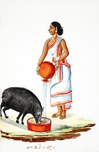 Ein Wildschwein füttern