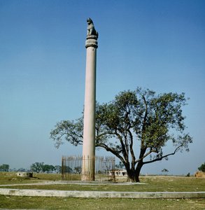 Löwensäule von Kaiser Ashoka (ca. 264-223 v. Chr.) von Indian School
