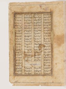 Majnun auf einem Kamel